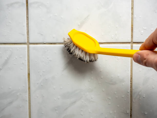 Best Localized Mold Remediation (e.g., coastal areas, humid climates) in Lake Don Pedro, CA