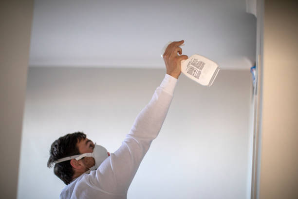 Best Black Mold Remediation in Lake Don Pedro, CA